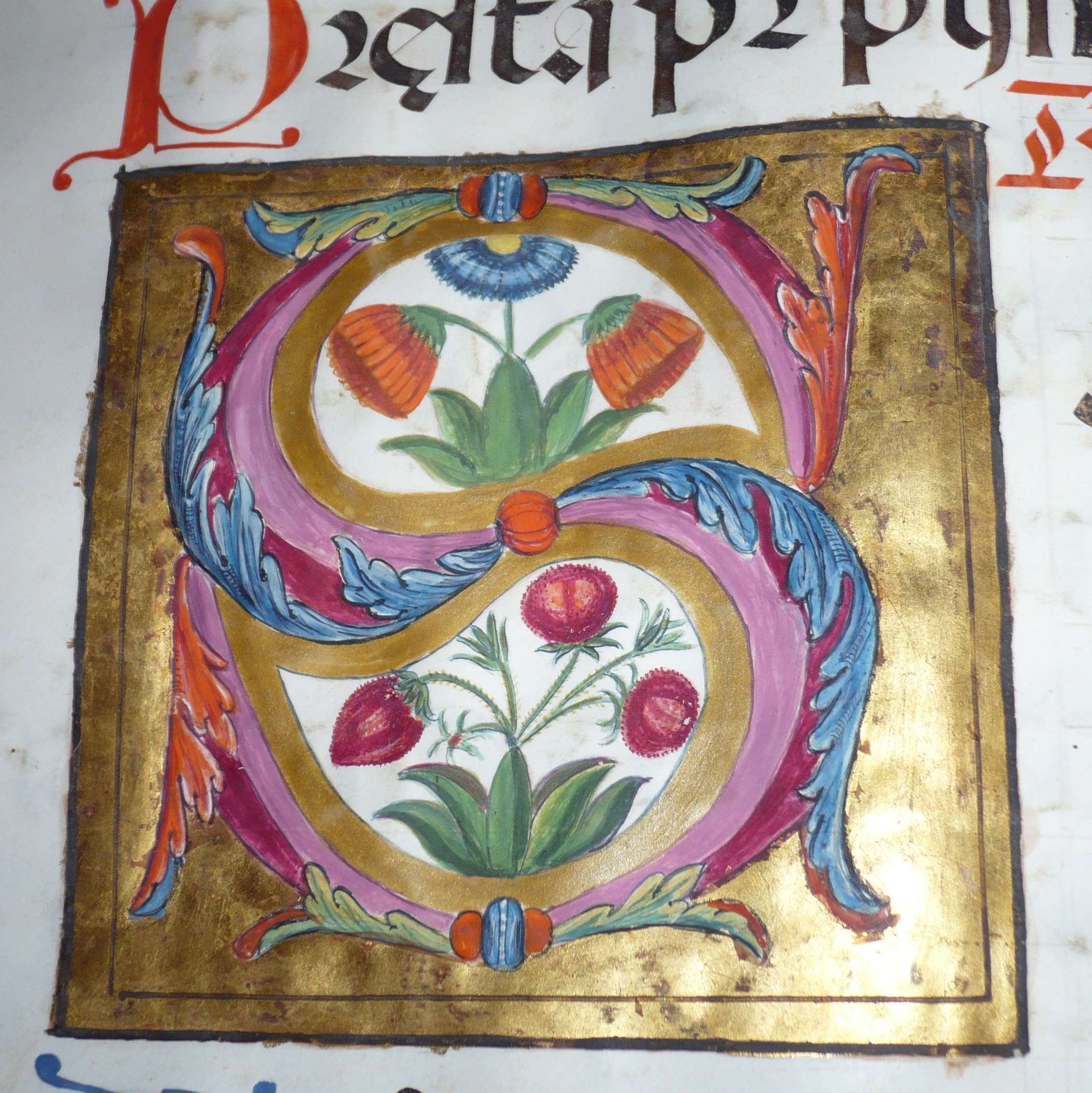 Maľované písmenká: Stredoveká knižná predloha (táto a iné)