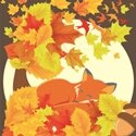 Jesenné variácie: V ríši zvierat
