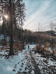 Veľký Grič