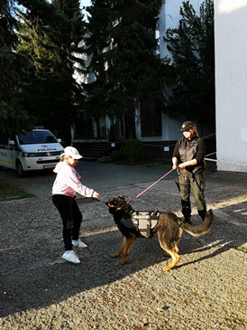 Policajná kynológia a jej triky