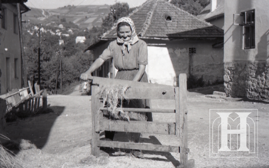 Trepanie konope na trlici v Čavoji