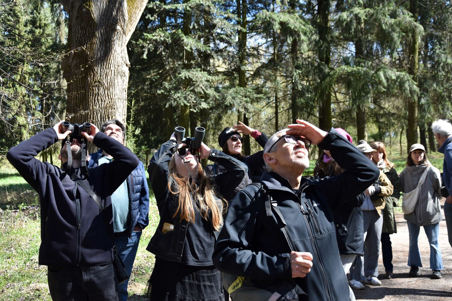 Jarný "birdwatching" pokojne aj bez ďalekohľadu
