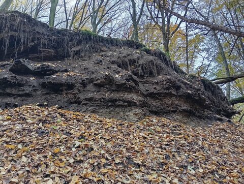 Z terénneho zápisníka múzejníka V.