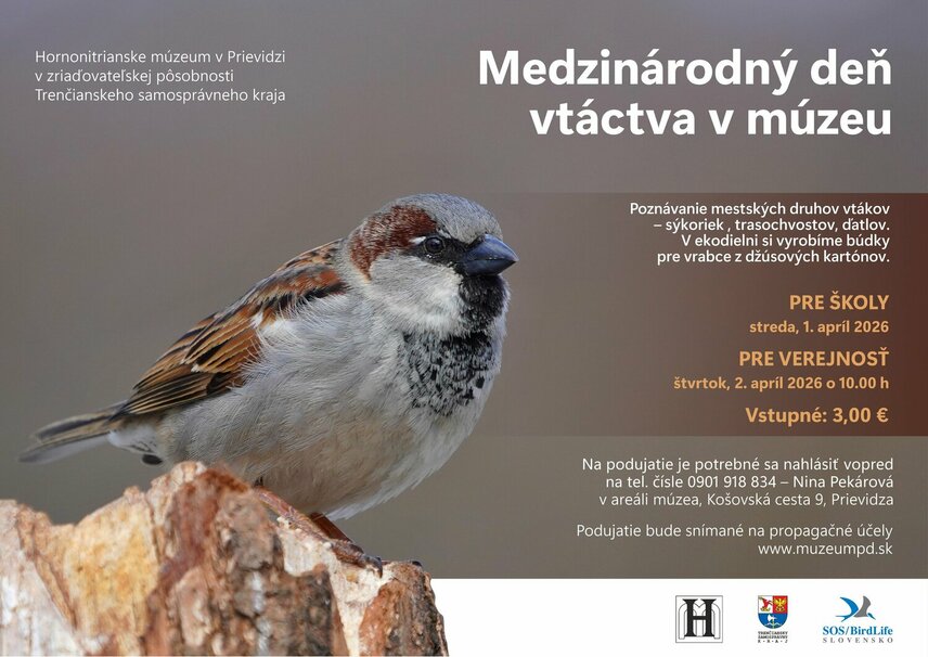 Medzinárodný deň vtáctva v múzeu