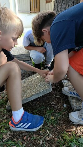 IMG-20250825-01