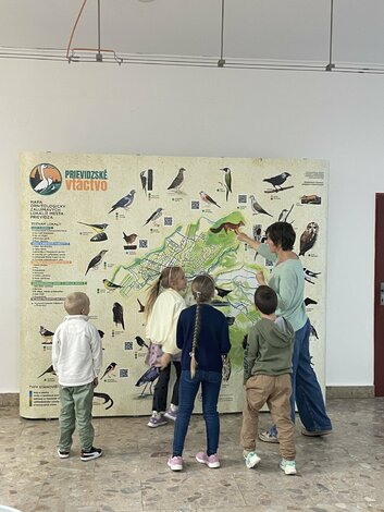 IMG_2539