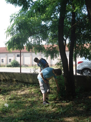 V znamení letného slnovratu (24.-27.6.2013) - 24.03