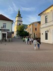 IMG_7902