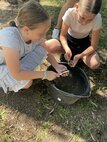 IMG_6879
