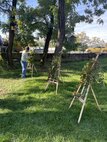 IMG_2535