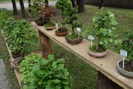 IMG_20170519_22