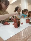 IMG_20240703_102610