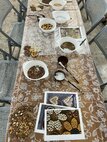 IMG_7330