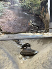 1000065200