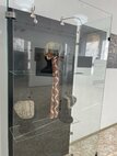 IMG_5653