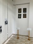 IMG_7228