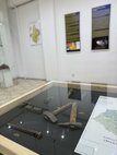 IMG_7637