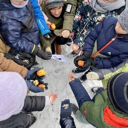 Ekopodujatie pri kŕmidle (9.1.2026)