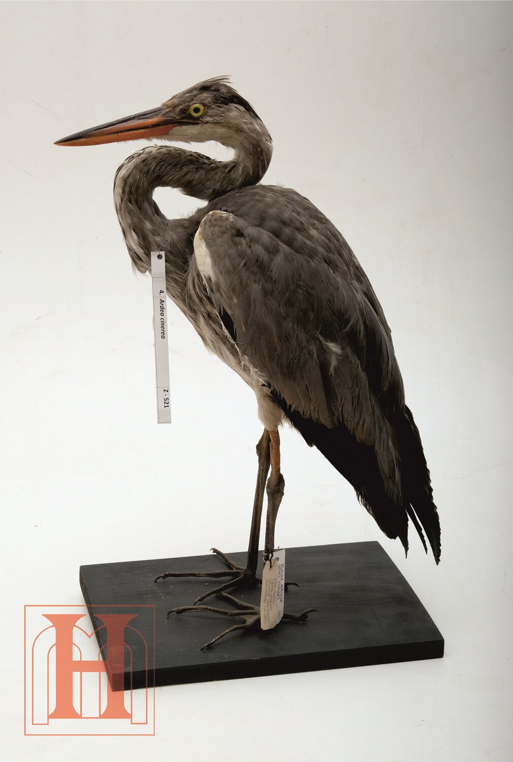 Predmet mesiaca január 2026